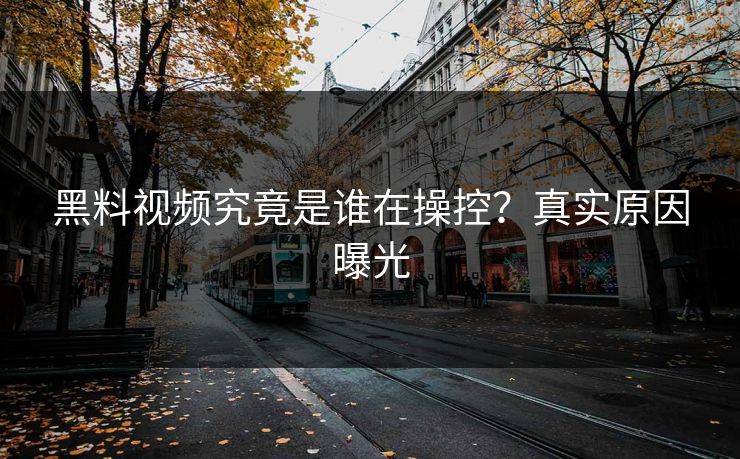 黑料视频究竟是谁在操控？真实原因曝光  第1张