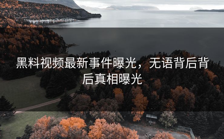 黑料视频最新事件曝光，无语背后背后真相曝光  第1张