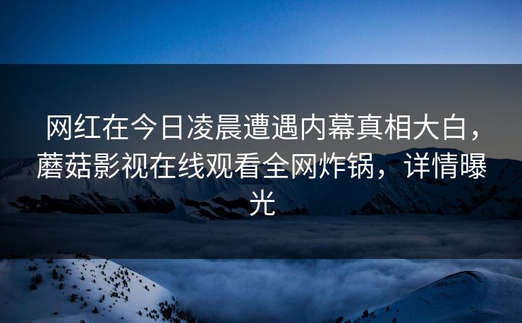 网红在今日凌晨遭遇内幕真相大白，蘑菇影视在线观看全网炸锅，详情曝光