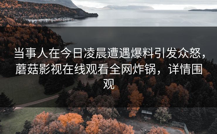 当事人在今日凌晨遭遇爆料引发众怒，蘑菇影视在线观看全网炸锅，详情围观  第1张