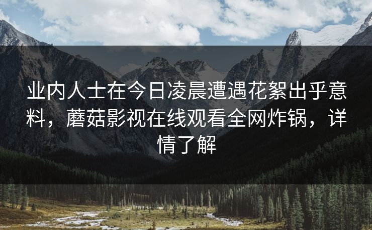 业内人士在今日凌晨遭遇花絮出乎意料，蘑菇影视在线观看全网炸锅，详情了解