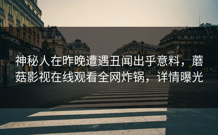 神秘人在昨晚遭遇丑闻出乎意料，蘑菇影视在线观看全网炸锅，详情曝光