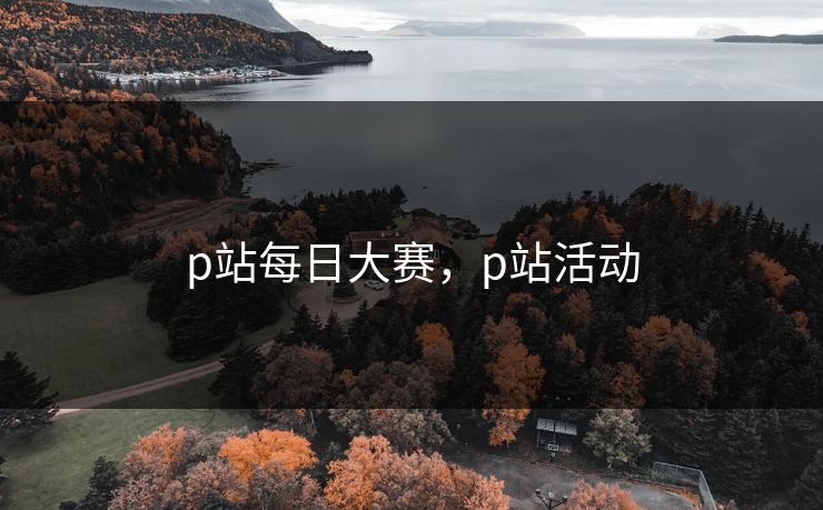 p站每日大赛，p站活动