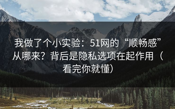 我做了个小实验：51网的“顺畅感”从哪来？背后是隐私选项在起作用（看完你就懂）